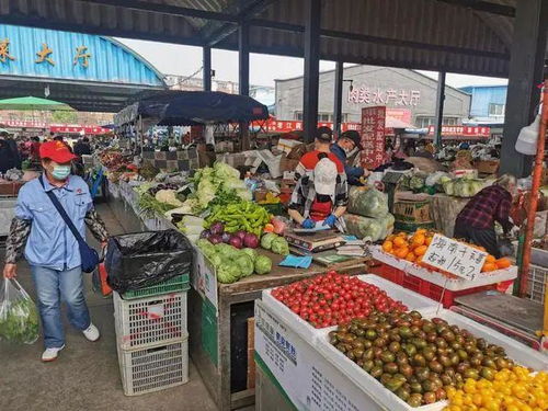 雙峪農副產品批發市場 筑牢疫情防線，守護百姓“菜籃子”安全